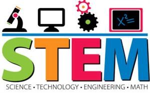 stem